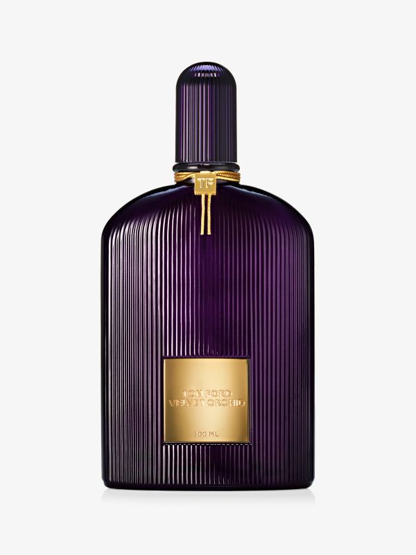 Velvet Orchid