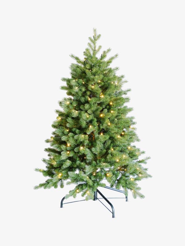 Tannenbaum tanne