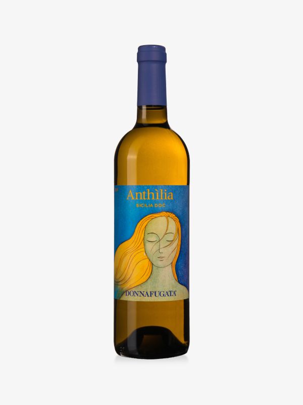 Anthilia Jahrgang 2024