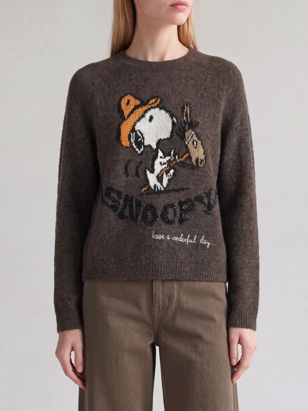 pull en tricot  brun, PRINCESS GOES HOLLYWOOD