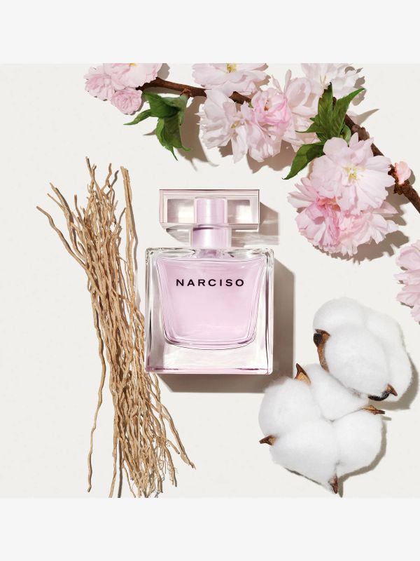 Narciso Radiante, NARCISO RODRIGUEZ