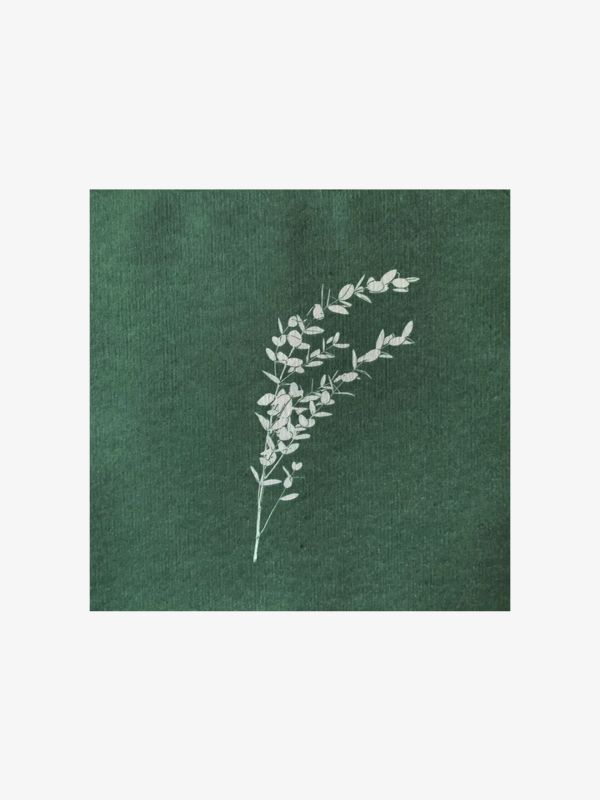 Serviettes en papier vert foncé