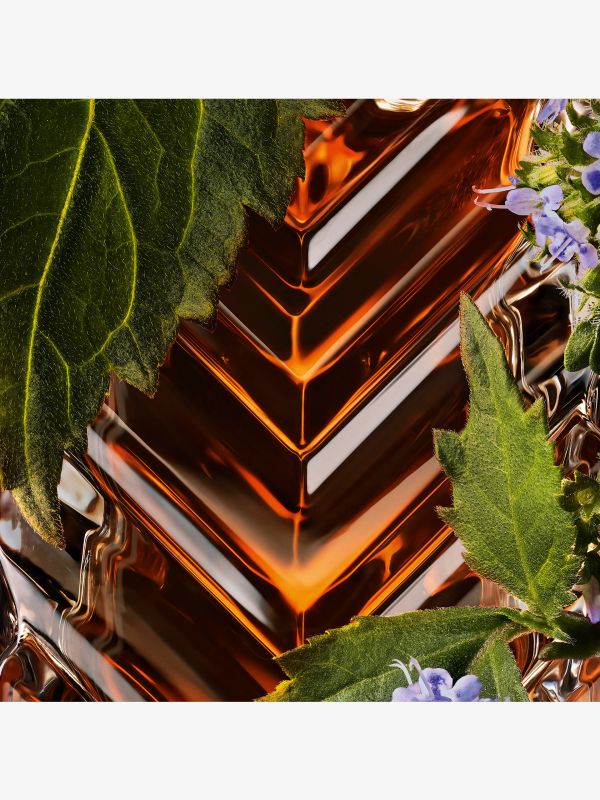 Tuxedo, YSL LE VESTIAIRE DES PARFUMS