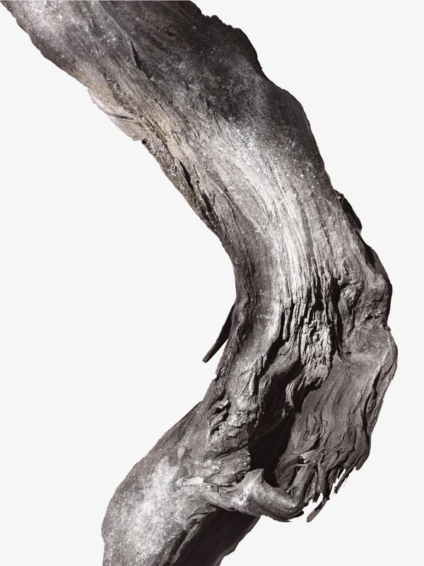 Oud Nacré, ARMANI PRIVÉ