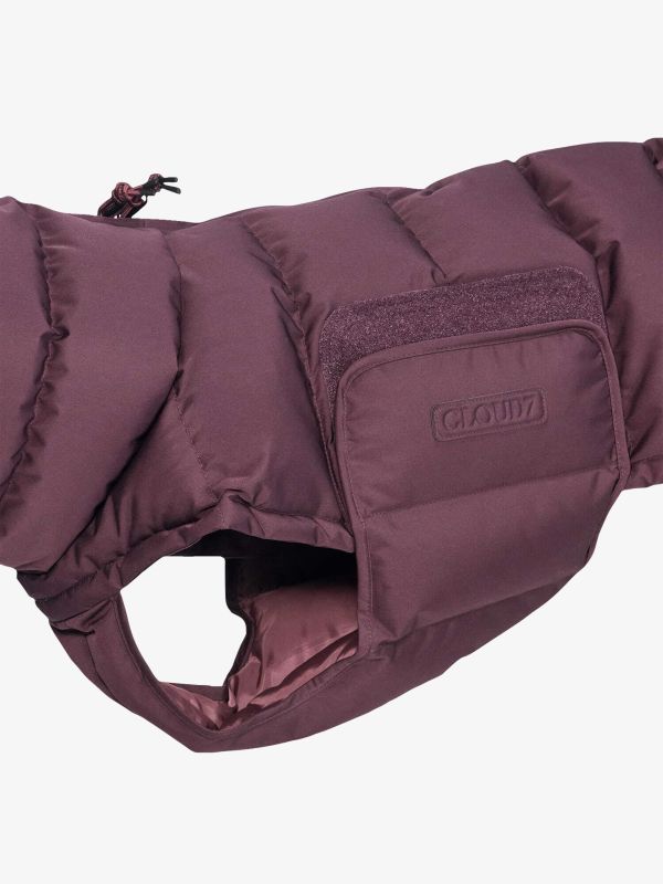 Manteau pour chien Alaska aubergine, CLOUD7