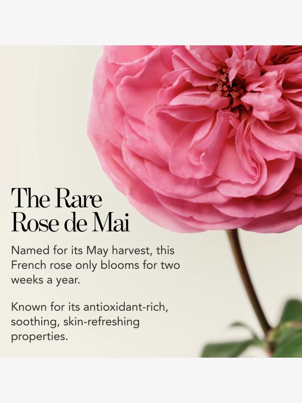 La crème à la Rose de Mai, CHANTECAILLE