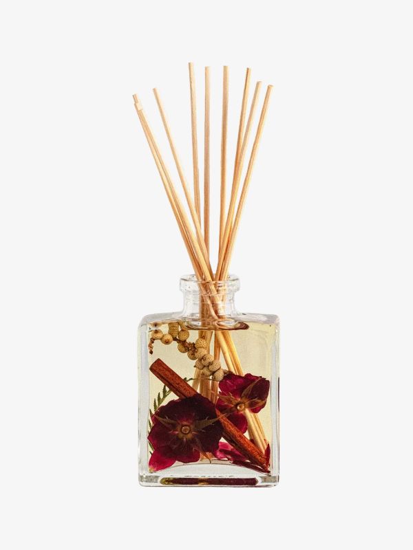 Diffuser SPICY APPLE