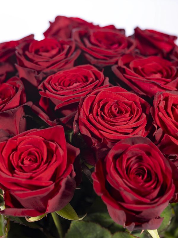 Rote Rosen