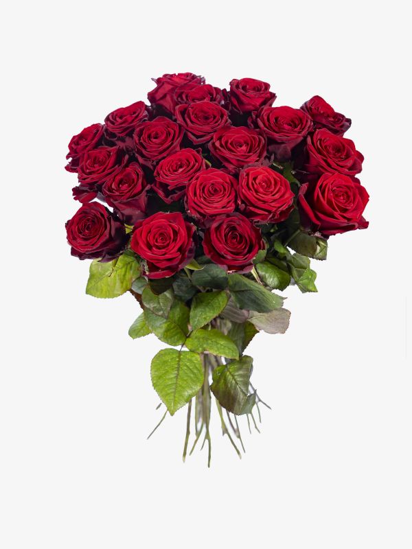 Rote Rosen