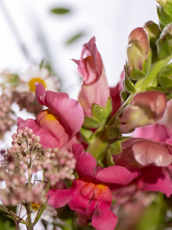 Blumenstrauss "Coral"