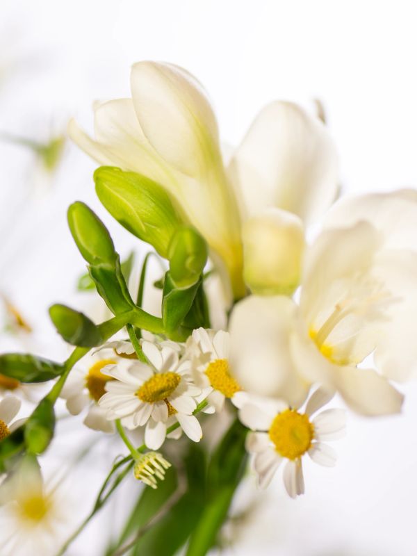 Blumenstrauss "Weisse Eleganz"