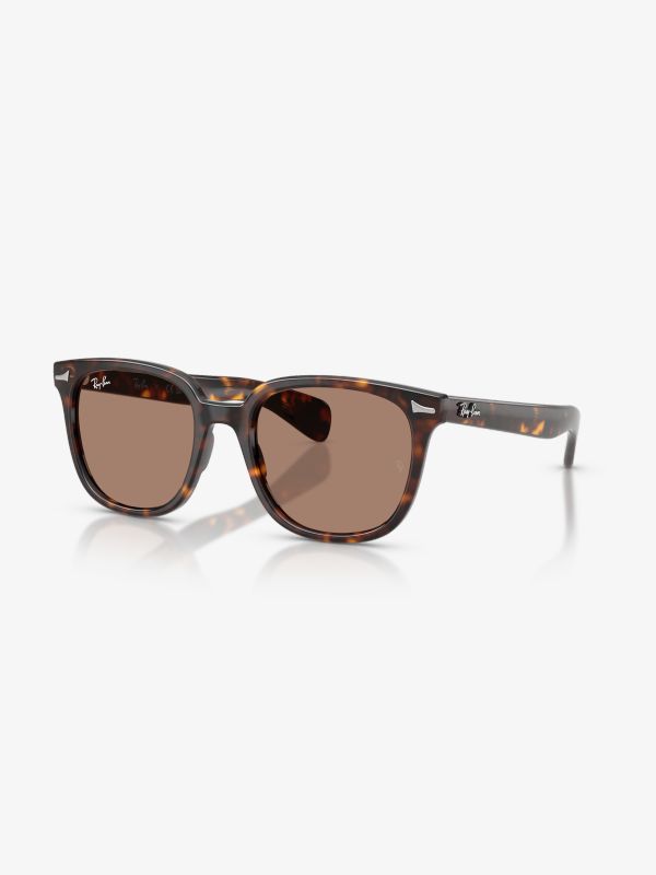 Sonnenbrille braun