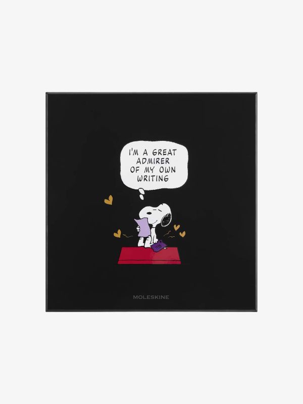 Papeterie Geschenke Box PEANUTS schwarz