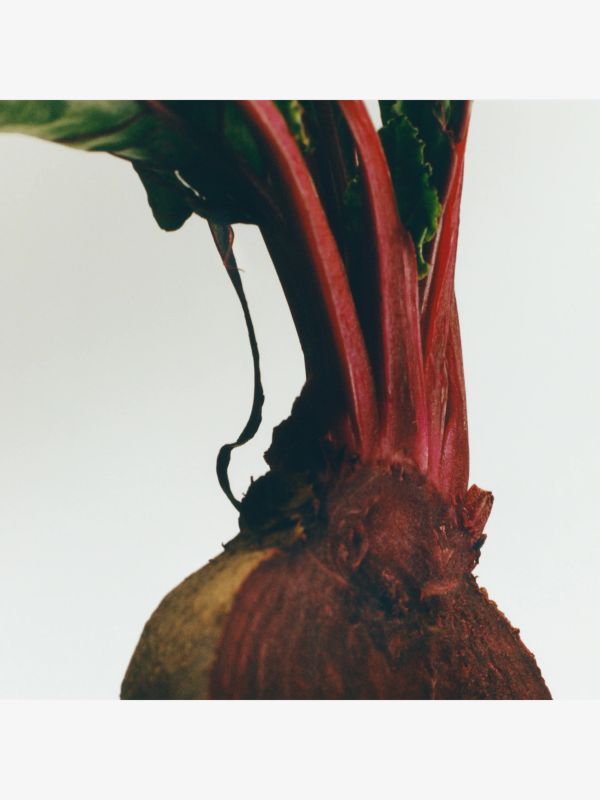 Duftkerze MEDIUM Beetroot, LOEWE