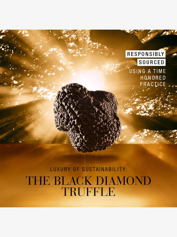 Re-Nutriv Ultimate Diamond Sculpted Transformation Crème, ESTÉE LAUDER