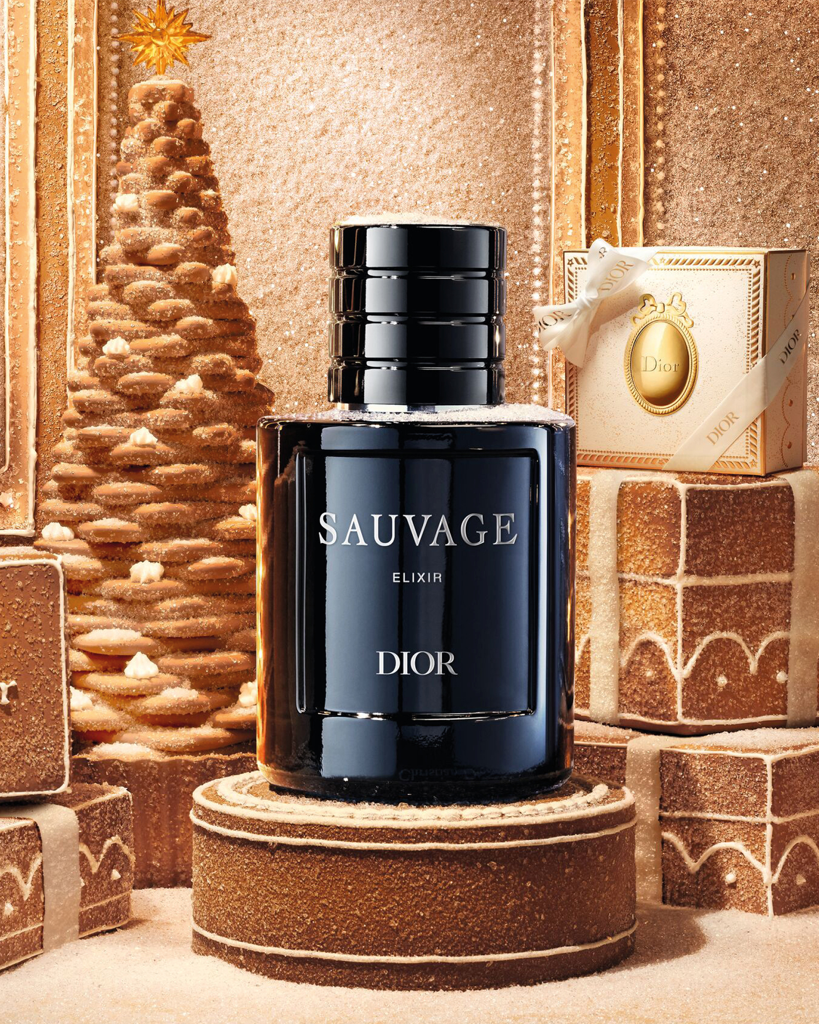 Parfums Homme