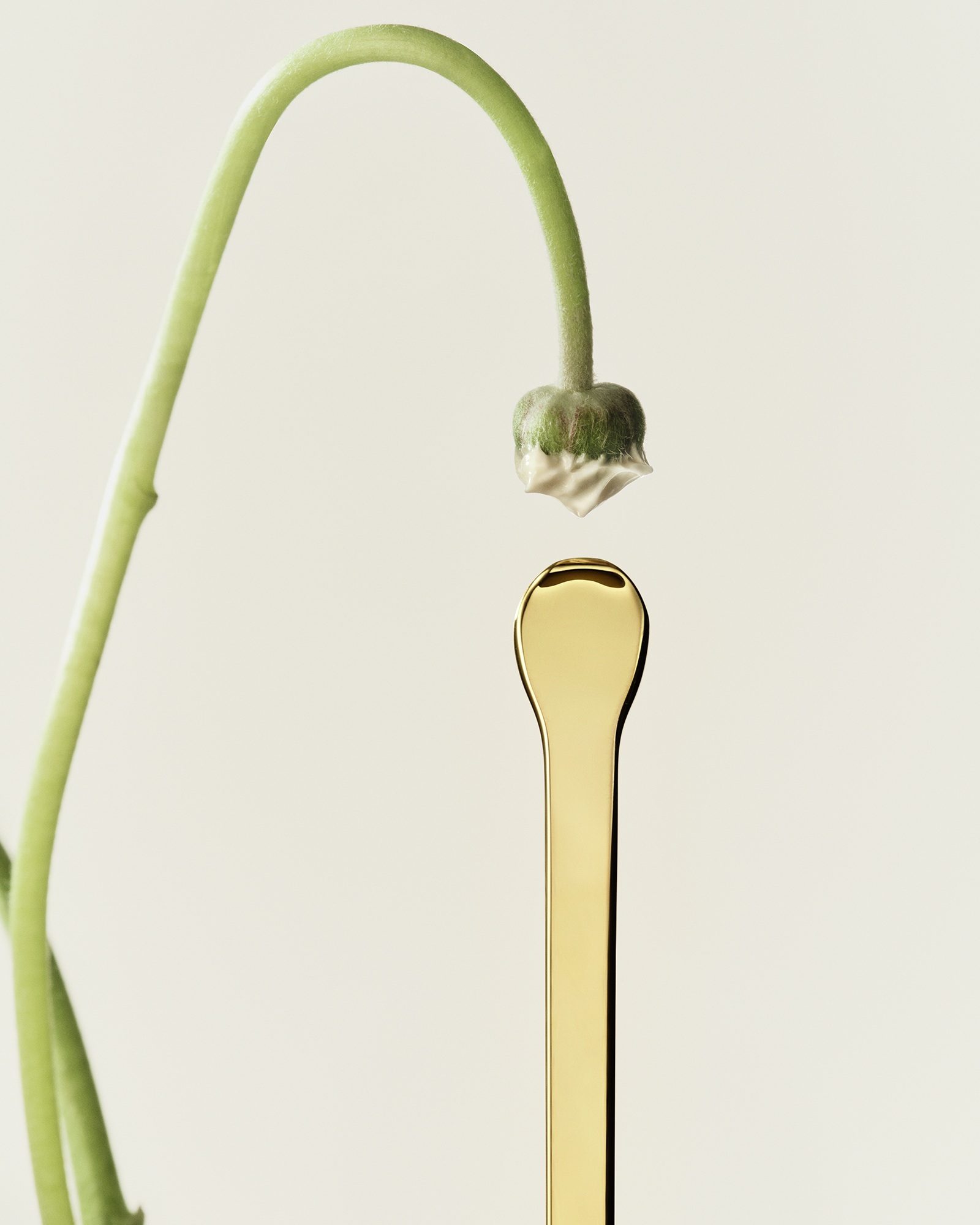 Aromacologie