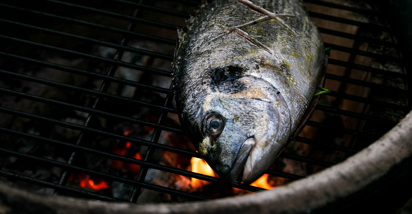 Fisch perfekt grillieren
