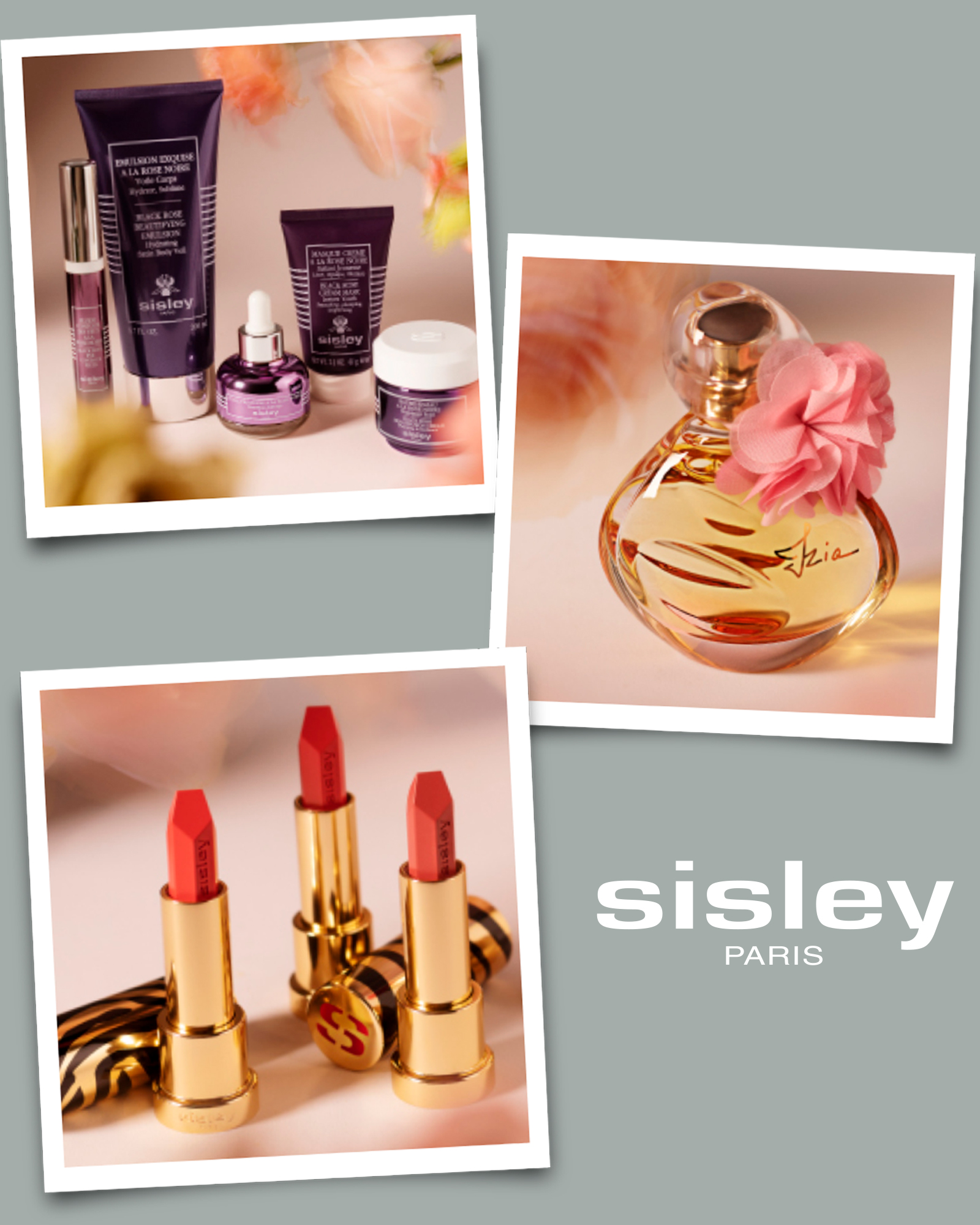 Sisley